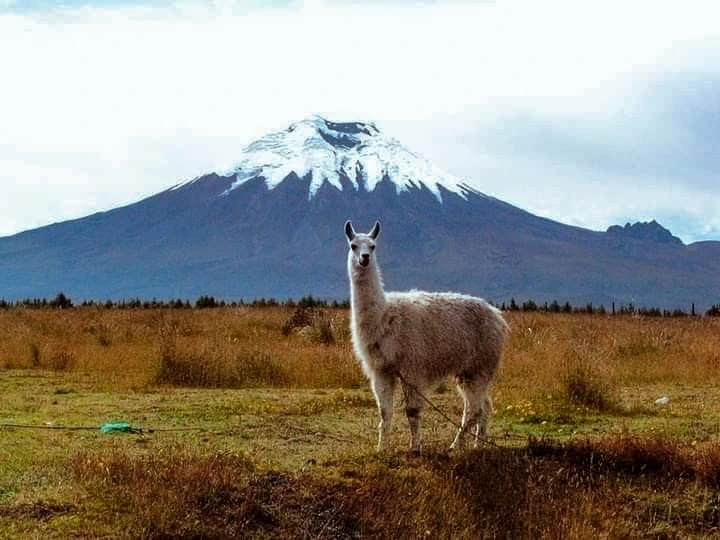 Cotopaxi Volcano, the active volcano close to Quito