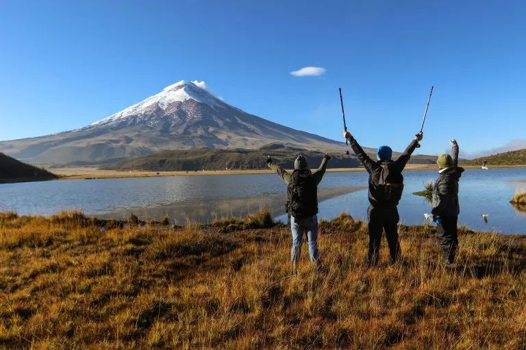Andean gulls and wildlife at Limpiopungo lagoon with Cotopaxi volcano on an Ecuador tour