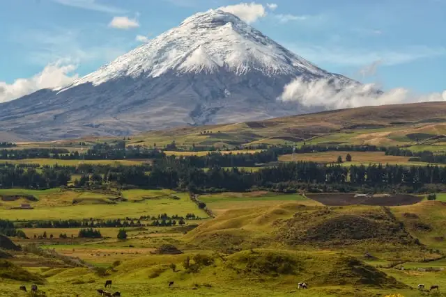 Cotopaxi Day Tour Wonderful