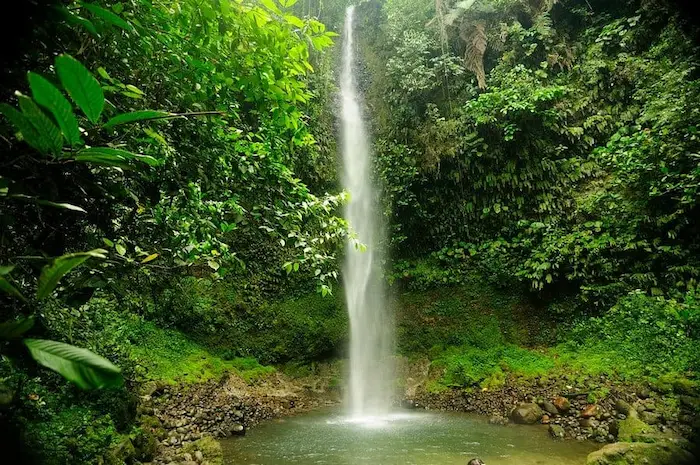 A day tour in the jungle