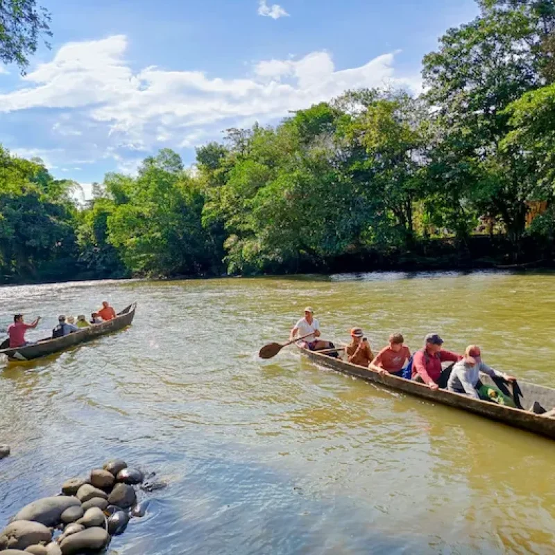 Amazon day tour from Baños de Agua Santa