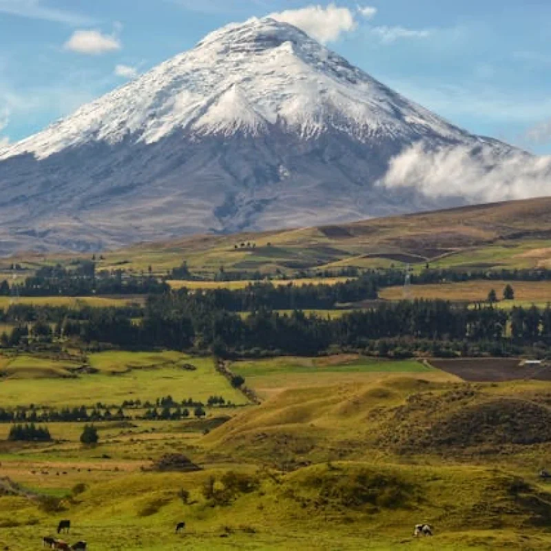 Cotopaxi Day Tour Wonderful Ecuador the best tour from Quito