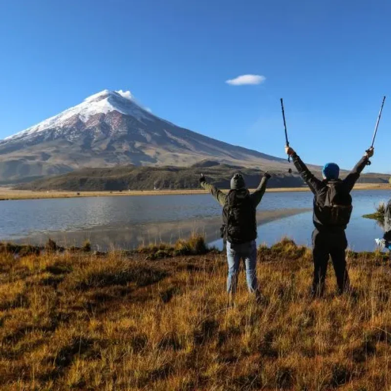 Andean gulls and wildlife at Limpiopungo lagoon with Cotopaxi volcano on an Ecuador tour